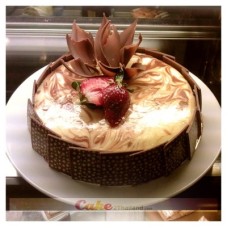 Marble Cheesecake